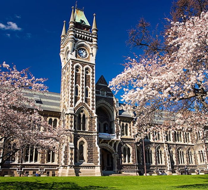 University Image